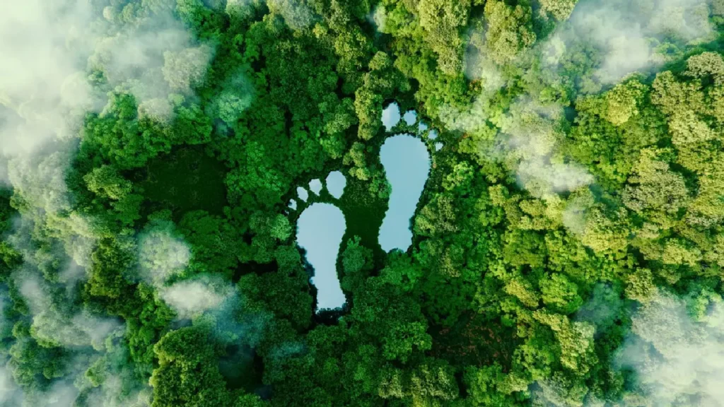 Sustainable Travel Is Booming 🌿_ How Homestays Can Lead the Eco-Friendly Revolution