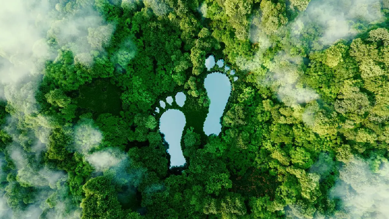 Sustainable Travel Is Booming 🌿_ How Homestays Can Lead the Eco-Friendly Revolution