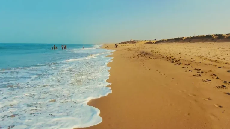 Top Beaches in Gujarat You Must Visit Before You Die
