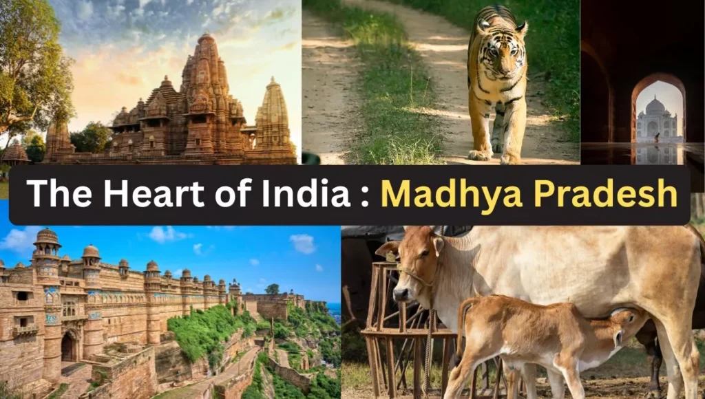 The Heart of India: Madhya Pradesh